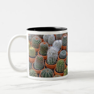 Caneca De Café Em Dois Tons Pequenas plantas de cacto