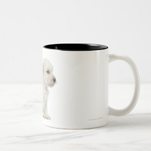 Caneca De Café Em Dois Tons Pequeno leão de chien ou filhote de cachorro