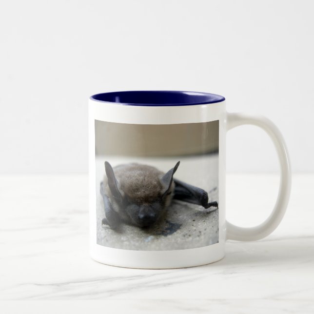 Caneca De Café Em Dois Tons Pequeno morcego (Myotis lucifugus) (Direita)