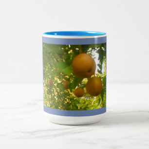Caneca De Café Em Dois Tons Peras Bloqueadas