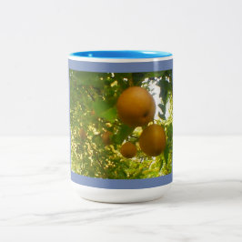 Caneca De Café Em Dois Tons Peras de Bloqueio