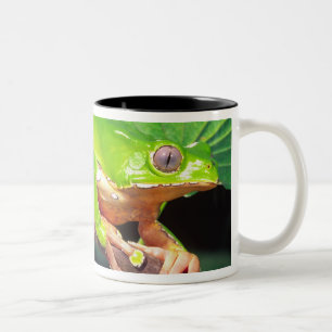 Caneca De Café Em Dois Tons Perereca-macaco gigante bicolor, Phyllomedusa