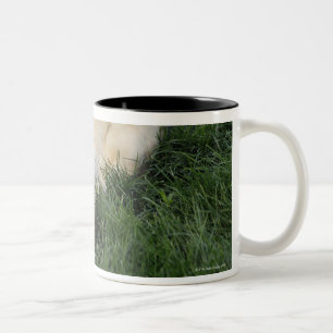 Caneca De Café Em Dois Tons Persiga a colocação upside-down na grama com bol