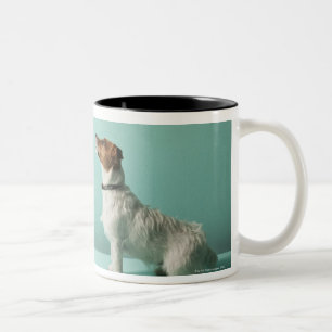 Caneca De Café Em Dois Tons persiga a vista acima no espaço