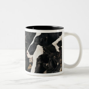 Caneca De Café Em Dois Tons Perspectiva de diminuição das cabeças da vaca q