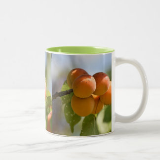 Caneca De Café Em Dois Tons Pêssegos Comida na Árvore