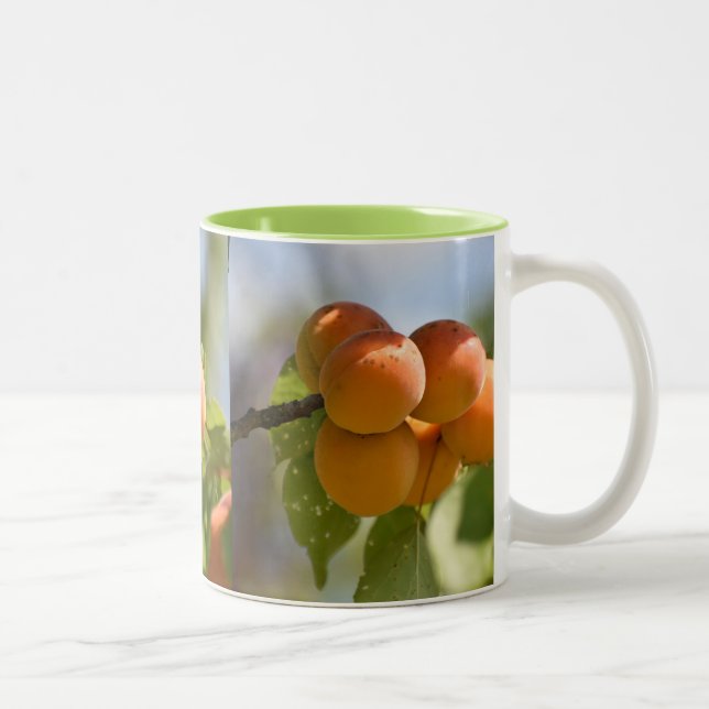 Caneca De Café Em Dois Tons Pêssegos Comida na Árvore (Direita)