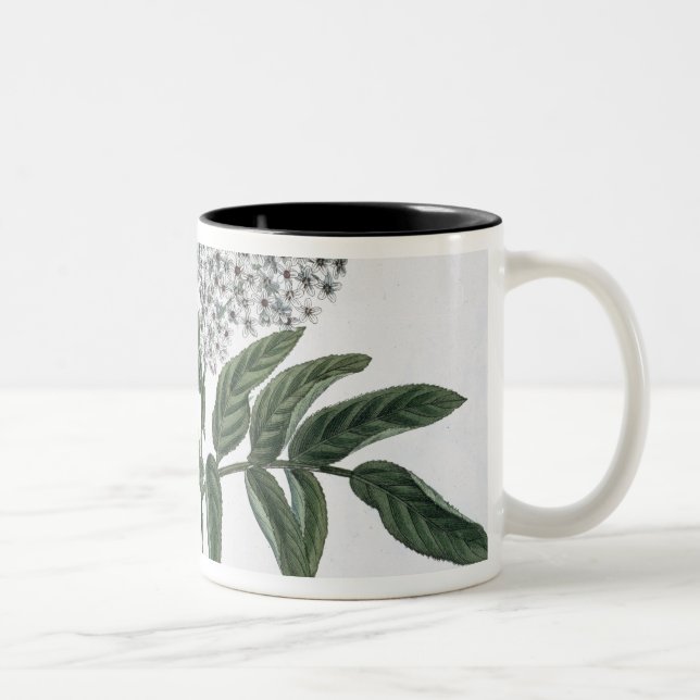 Caneca De Café Em Dois Tons Pessoa idosa, Fig. 13 "do Landsman novo", publishe (Direita)