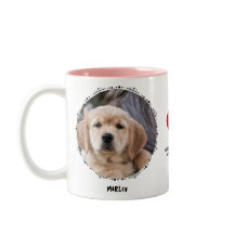 Pet Loss Dog Memorial Keepsasasasaame 2 Fotografia