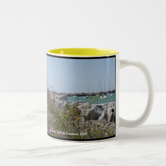 Caneca De Café Em Dois Tons Petoskey Michigan