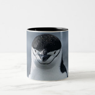 Caneca De Café Em Dois Tons Pinguim de Chinstrap