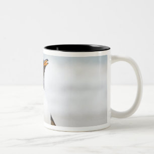 Caneca De Café Em Dois Tons Pinguim de Gentoo