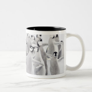 Caneca De Café Em Dois Tons Pinguim de imperador (forsteri do Aptenodytes)