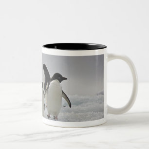 Caneca De Café Em Dois Tons Pinguins de Adelie em fluxos do gelo