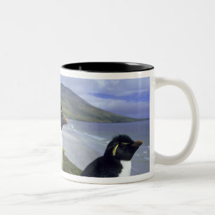 Caneca De Café Em Dois Tons Pinguins-de-crista, (Eudyptes chrysocome),