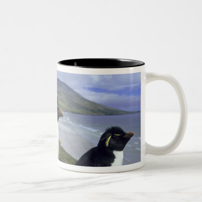 Caneca De Café Em Dois Tons Pinguins-de-crista, (Eudyptes chrysocome), (Direita)
