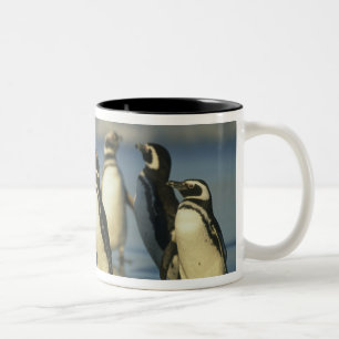 Caneca De Café Em Dois Tons Pinguins-de-magalhães, Spheniscus