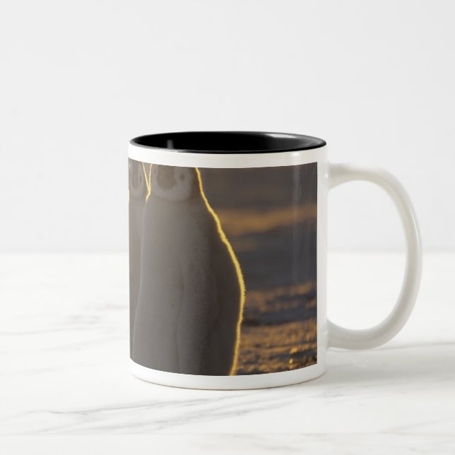 Caneca De Café Em Dois Tons Pinguins-imperadores (Direita)