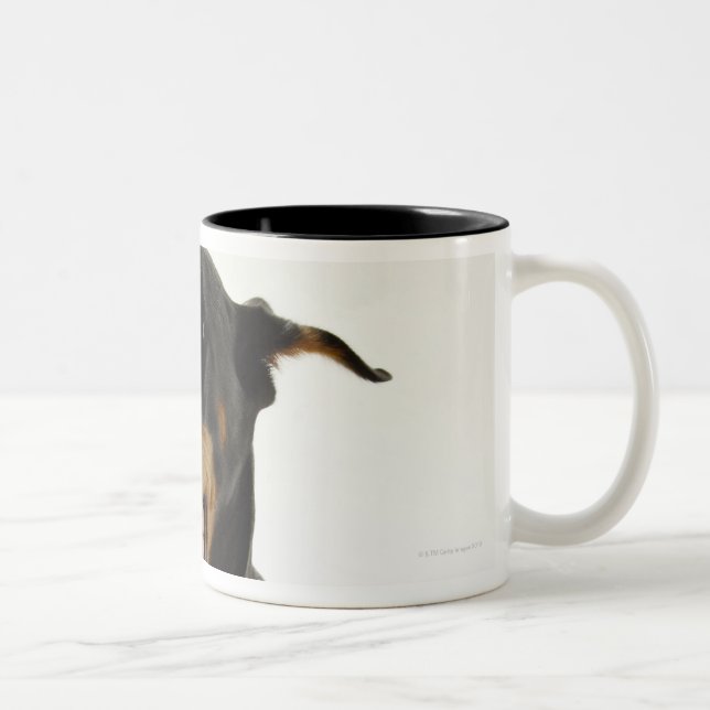 Caneca De Café Em Dois Tons Pinscher 2 do Doberman (Direita)