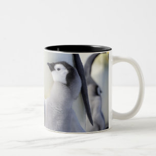 Caneca De Café Em Dois Tons Pintinho do pinguim de imperador
