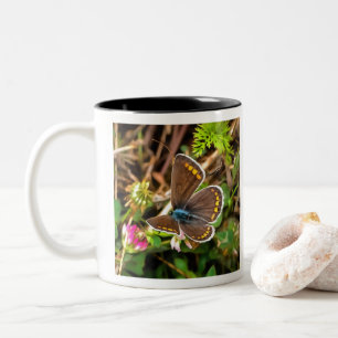 Caneca De Café Em Dois Tons Pintor Polommatus Icarus, Borboleta Azul Comum