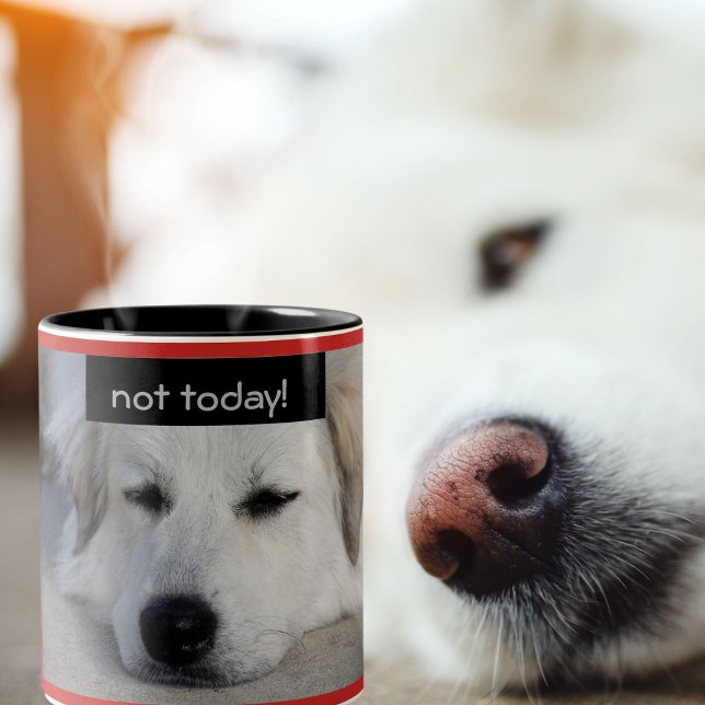 Caneca De Café Em Dois Tons Pirenéus Excelentes Preguiçosos Cachorros Não Hoje (Your favorite friend on your coffee mug)
