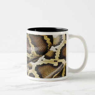 Caneca De Café Em Dois Tons Pitão Burmese