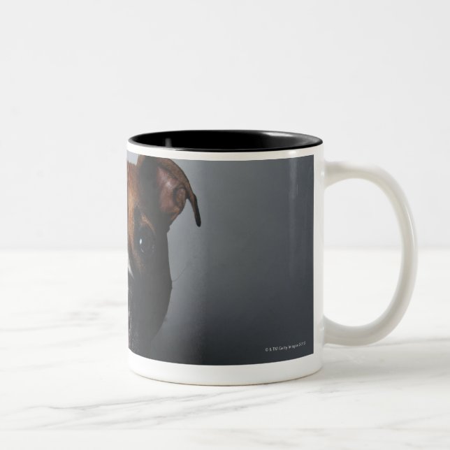 Caneca De Café Em Dois Tons Pitbull Terrier que encontra-se para baixo (Direita)