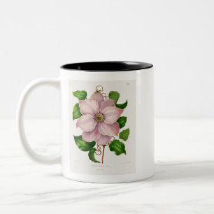 Caneca De Café Em Dois Tons Placas de cromolitografia Glematis Hyb. Sieboldia