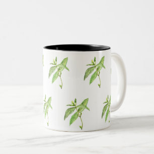 Caneca De Café Em Dois Tons Plantas botânicas de erva-mint aquarela de jardim 