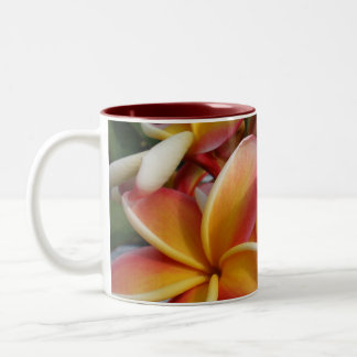 Caneca De Café Em Dois Tons plumeria