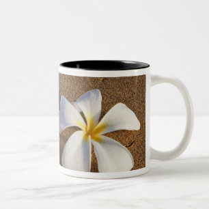 Caneca De Café Em Dois Tons Plumeria em praia arenosa, Maui, Havaí, EUA