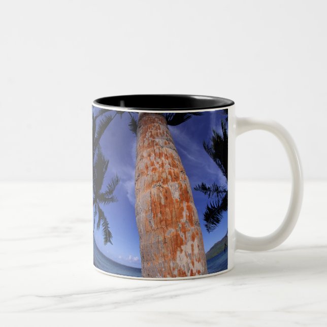 Caneca De Café Em Dois Tons Polinésia Francesa, Bora Bora, Palmeiras (Direita)