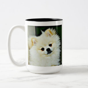 Caneca De Café Em Dois Tons Pomerânia doce