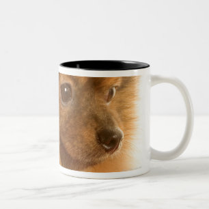 Caneca De Café Em Dois Tons Pomeranian