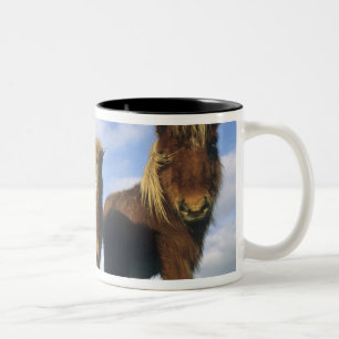 Caneca De Café Em Dois Tons Pônei Shetland, ilhas Shetland continental,