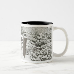 Caneca De Café Em Dois Tons Ponte da lua coberta de neve, Jardim Japonês