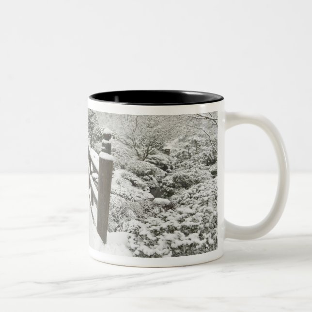 Caneca De Café Em Dois Tons Ponte da lua coberta de neve, Jardim Japonês (Direita)