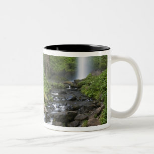 Caneca De Café Em Dois Tons Ponte em Latourell Falls, Desfiladeiro do Rio Colu