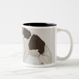 Caneca De Café Em Dois Tons Ponteiro que olha para baixo no gato