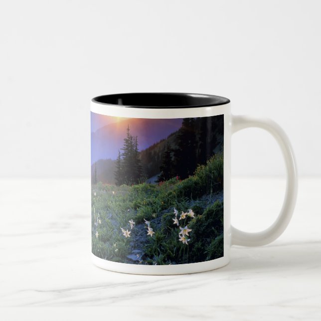 Caneca De Café Em Dois Tons Pôr do sol no Obstruciton Point, Parque Nacional O (Direita)