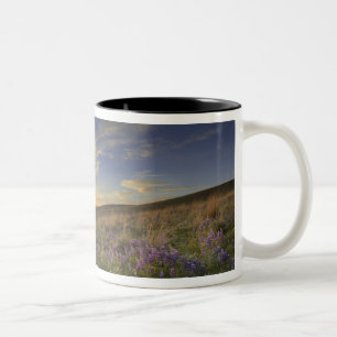 Caneca De Café Em Dois Tons Pôr do sol sobre as montanhas Bitterroot e vasto