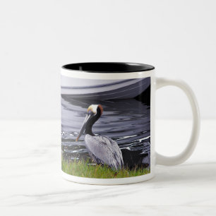 Caneca De Café Em Dois Tons Posador de Pelicano