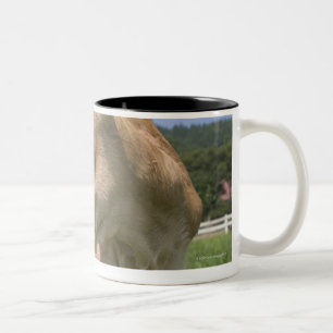 Caneca De Café Em Dois Tons Posição da vitela
