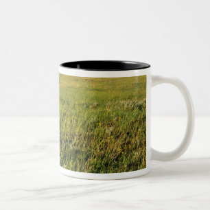 Caneca De Café Em Dois Tons Pradaria de grama curta no remoto nordeste