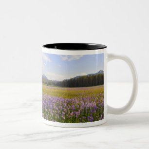 Caneca De Café Em Dois Tons Prado de flores silvestres penstemon no 2