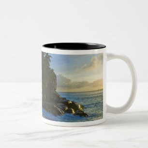 Caneca De Café Em Dois Tons Praia Ansi Victorin 2