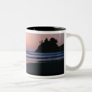 Caneca De Café Em Dois Tons Praia Estadual de Trinidad, Califórnia. EUA. Mar 2
