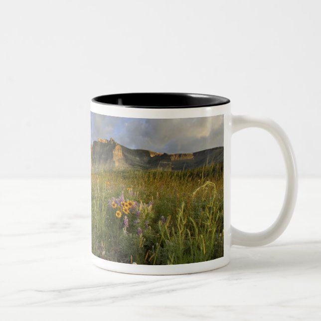 Caneca De Café Em Dois Tons Prairie Wildflower em Many Glacier Valley (Direita)