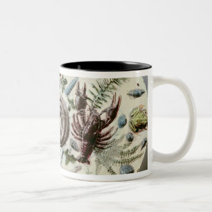 Caneca De Café Em Dois Tons Prato de Rustique Figuline com um fundo branco
